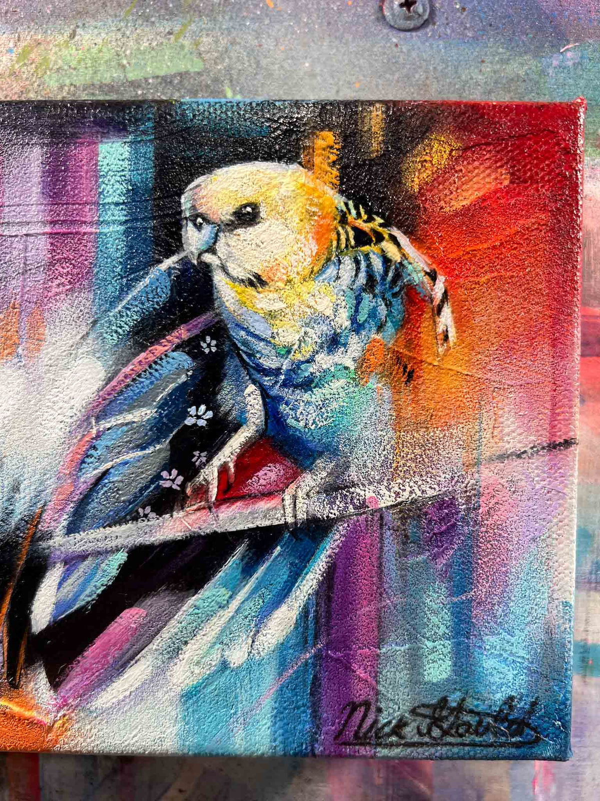 Parakeet